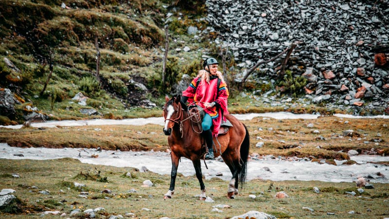 CABALLO PARA LA CAMINATA