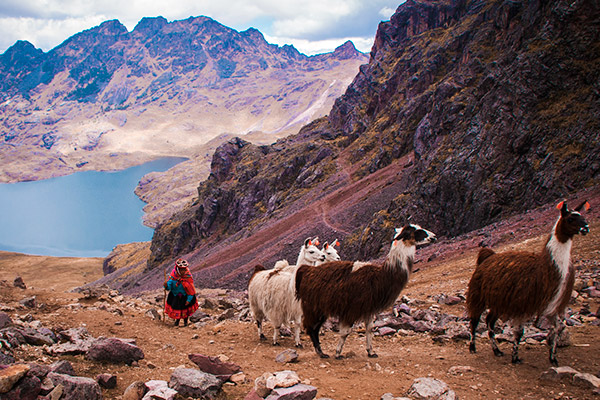 Caminata Lares a Machu Picchu